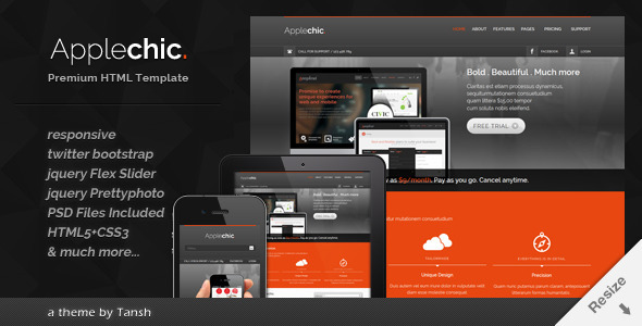 Applechic Responsive Software HTML Template