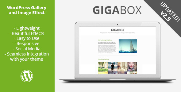 Gigabox-Responsive WP Gallery