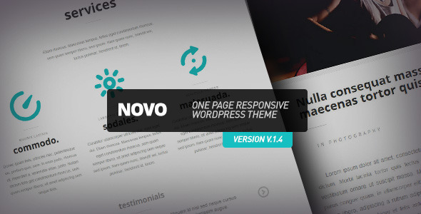novo-one-page-responsive-wordpress-theme