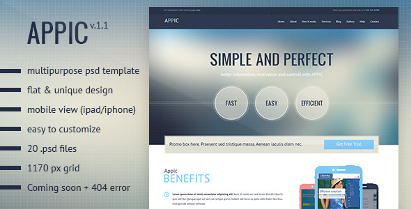 Appic - Business & Technology PSD Template