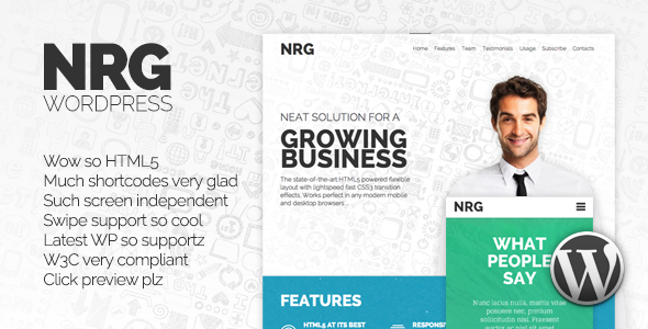 NRG - Responsive WordPress Theme