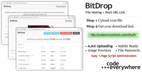 BitDrop - File Hosting with Short URL Link