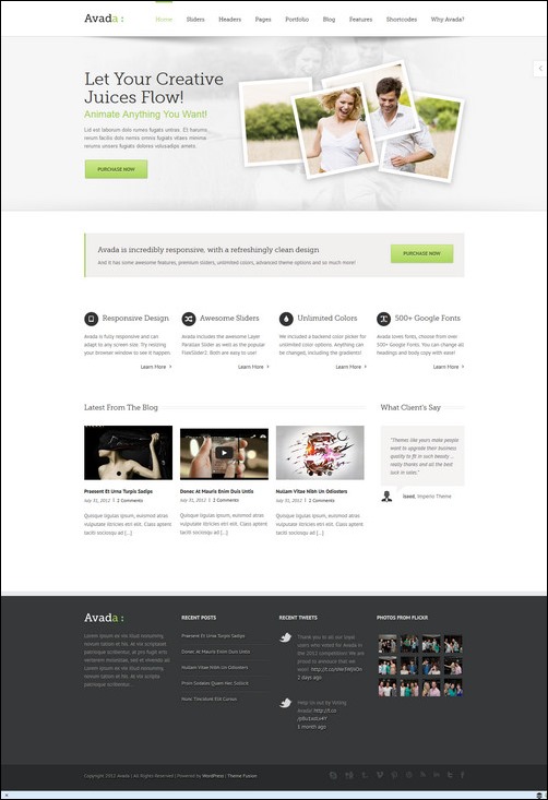 Avada Homepage overview