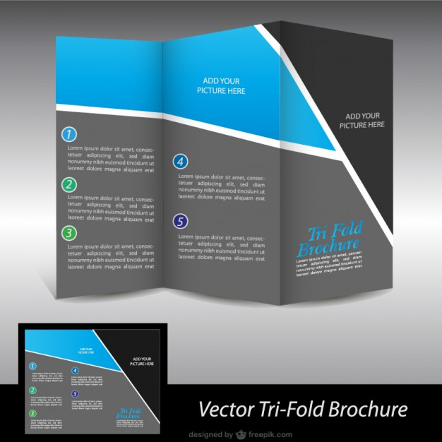 brochure vector illustration free download