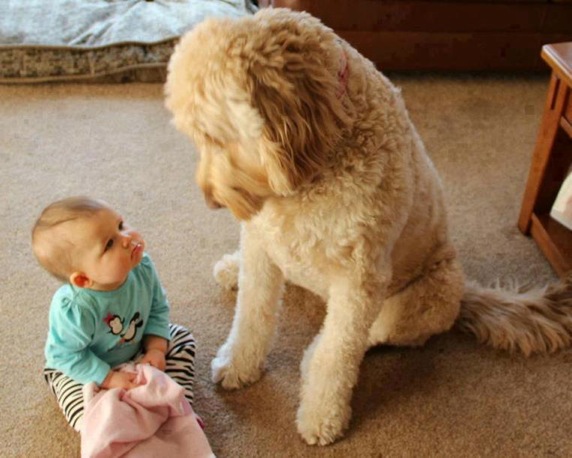 Babies and Pets 25