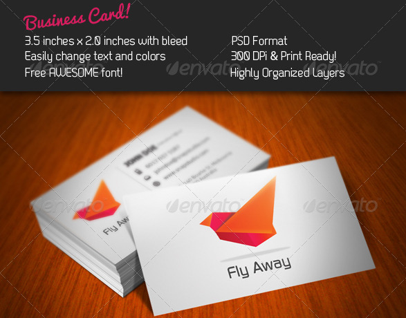 Fly Business Card