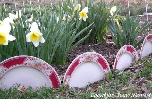 Use broken plates as garden edging