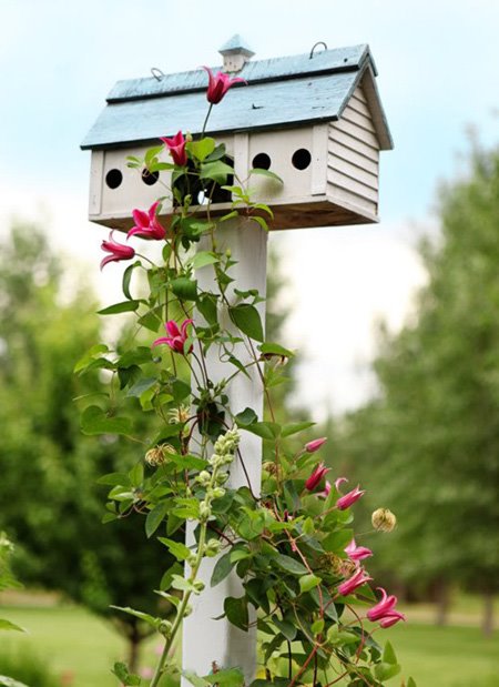 Using Birdhouses To Decorating Garden Or Backyard - DesignMaz