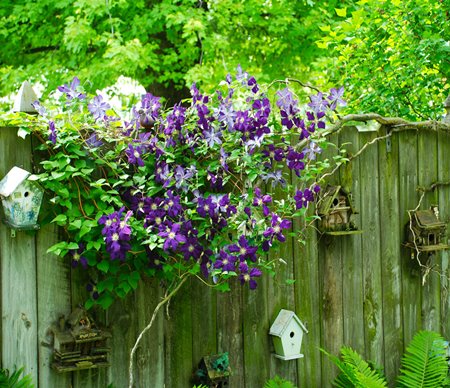 Using Birdhouses To Decorating Garden Or Backyard - DesignMaz