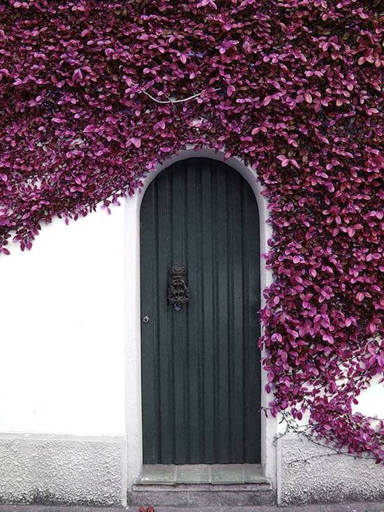 Awesome Doors That Seem to Open to Magical World
