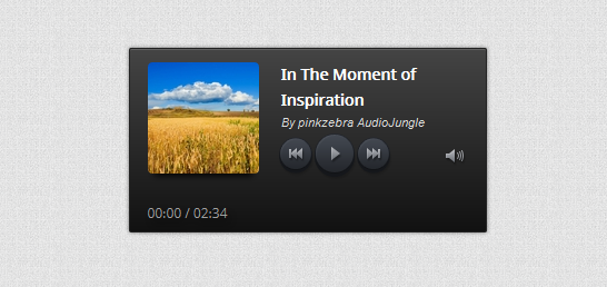 amazing audio player customize