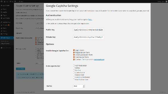 Google-Captcha-(reCAPTCHA)
