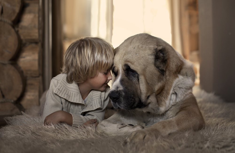 new-photo-series-of-kids-with-their-pets-from-elena-shumilova-12