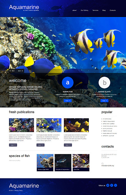 Fish WordPress Theme