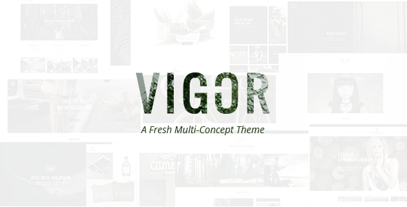 Vigor - A Fresh Multi-Concept Theme