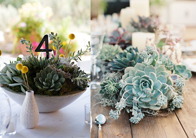 Succulent Wedding Centerpieces and Table Number
