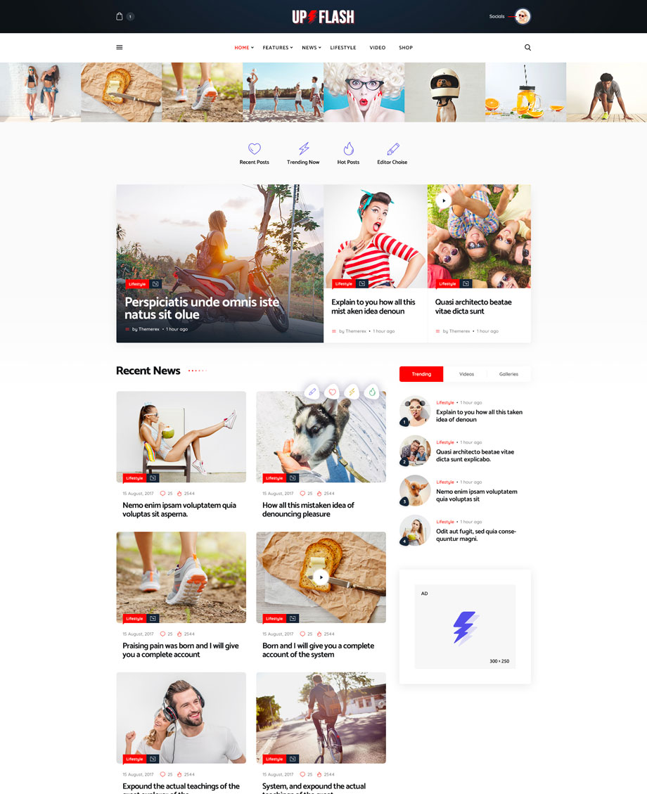 10+ Best Viral WordPress Themes for Viral Magazine, Blog and Buzz Websites 2022 - DesignMaz